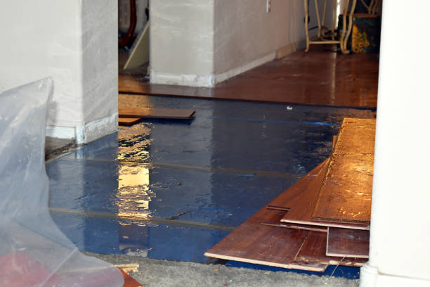 Professional Burst Pipe Cleanup technician working in Hickman, CA